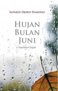 Image of HUJAN BULAN JUNI