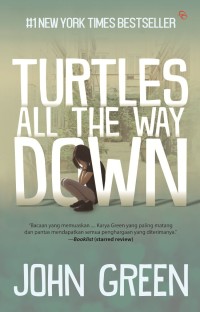 Image of TURTLES ALL THE WAY DOWN